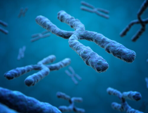 Biomarker Test for Breast Cancer Patients