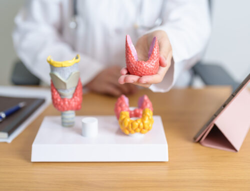 Understanding Your Thyroid Labs: What TSH, T3, and T4 Really Mean