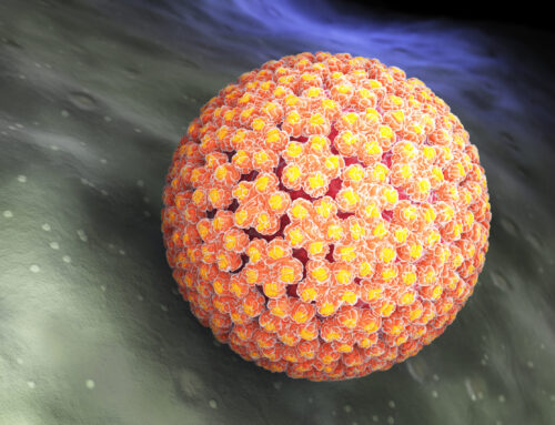 Common Skin Virus Shows Unexpected Role in Skin Cancer