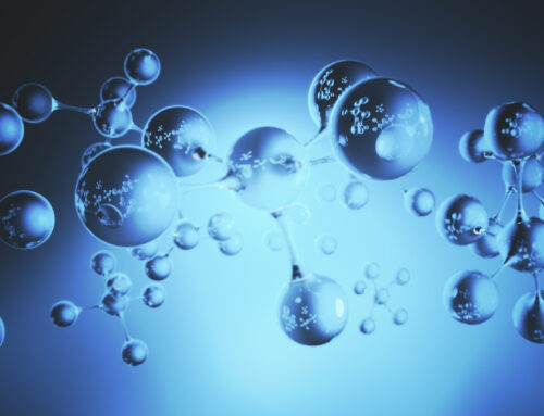 What is Mitochondrial Health?